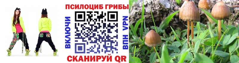 Галлюциногенные грибы прущие грибы  сайты даркнета клад  Балаково  hydra ССЫЛКА 